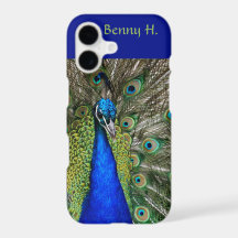 Editable Proud Peacock Blues et Greens