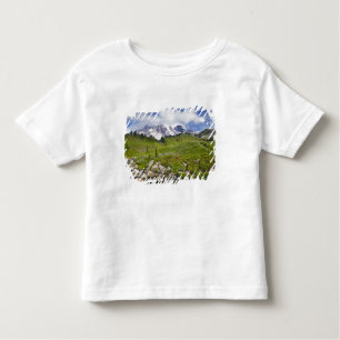 Edith Creek en wildbloemweiden in het Paradijs Kinder Shirts
