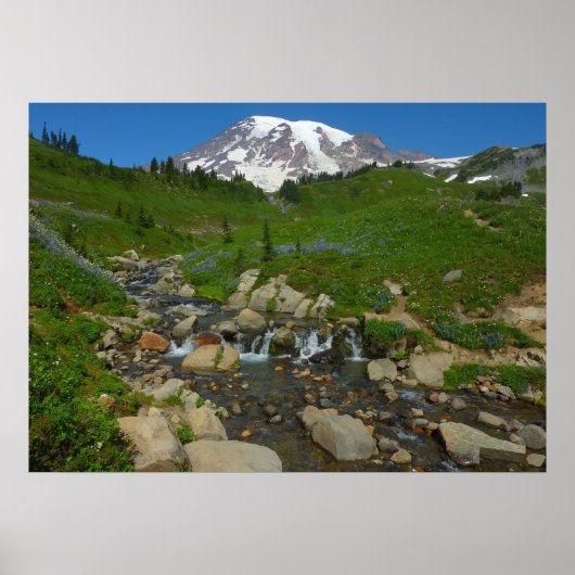 Edith Creek in Mount Rainier National Park Poster (Voorkant)