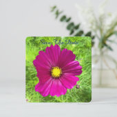 Édition Mind : Cosmos Save The Date (Debout devant)