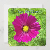 Édition Mind : Cosmos Save The Date (Devant)