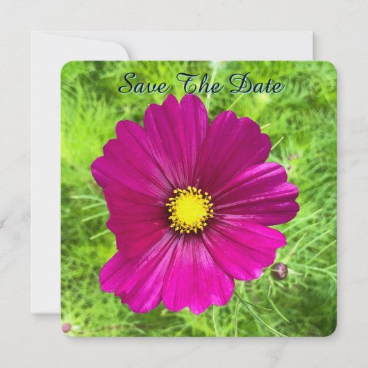 Édition Mind : Cosmos Save The Date (Devant)