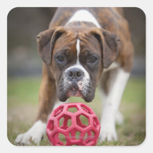 edmonton alberta canada vierkante sticker