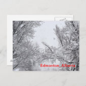 Edmonton (Alberta) Carte Winter Post (Devant / Derrière)