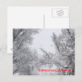 Edmonton, Alberta Winter Post-kaart Briefkaart (Voorkant / Achterkant)