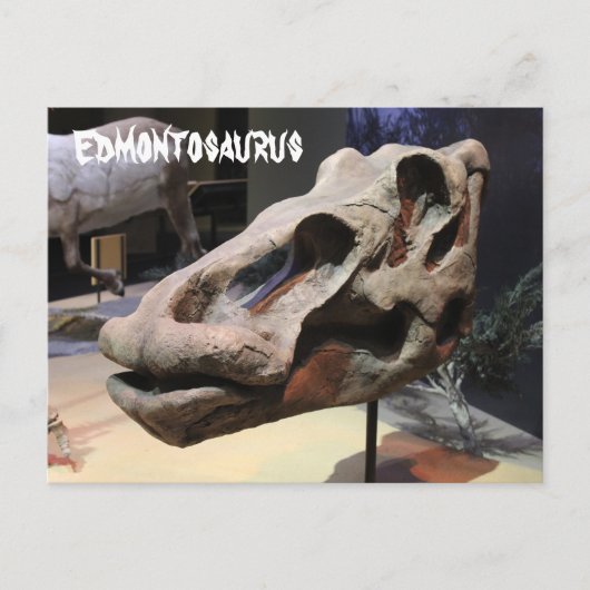 Edmontosaurus Briefkaart (Voorkant)