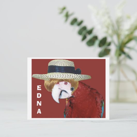 EDNA BRIEFKAART (Staand voorkant)