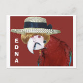 EDNA BRIEFKAART (Voorkant)