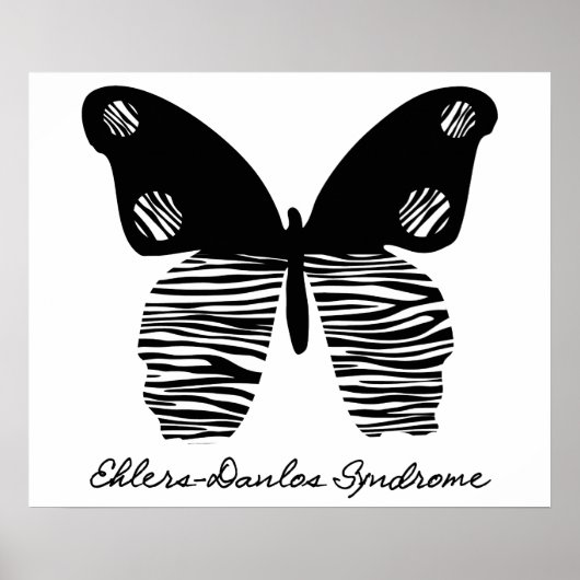 EDS Zebra Stripe Butterfly 24x20 Poster (Voorkant)