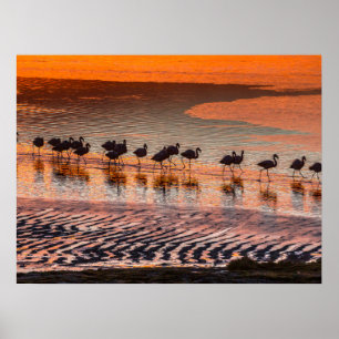 Eduardo Abaroa Andesfauna Nationaal Reservaat Poster
