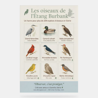 Educatieve poster – De vogels van de Burbank-vijve