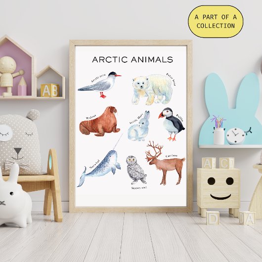 Educatieve Poster over Arctische Dieren Perfect Poster
