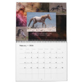 Éducation de cheval sauvage… un calendrier (Feb 2026)