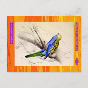 Edward Lear. Bleke parkiet. Briefkaart