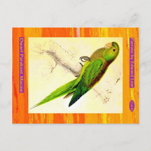 Edward Lear. Dwarf Paraket Macaw. Briefkaart (Voorkant)
