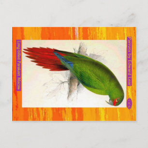 Edward Lear. Parkiet Macaw, met lange kieuwen. Briefkaart