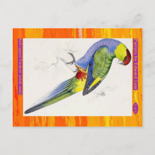 Edward Lear. Parkiet met een rode lampvoet. Volwas Briefkaart