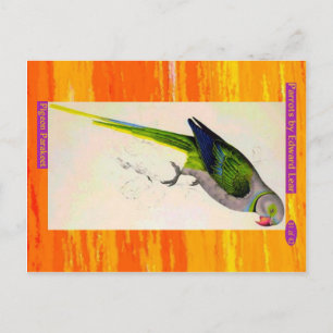 Edward Lear. Pigeon Paraket. Briefkaart