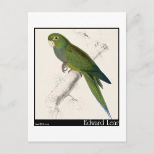 Edward Lear's Dwarf Paraket-Macaw Briefkaart