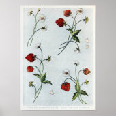 Edwardian Strawberries Poster (Devant)