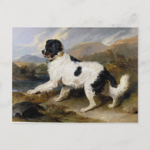 Edwin Henry Landseer Lion A Newfoundland Dog Briefkaart