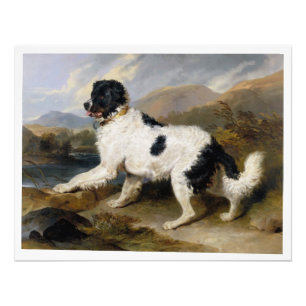 Edwin Henry Landseer Lion A Newfoundland Dog Foto Afdruk