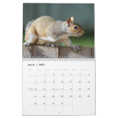 Eekhoorn 2018 kalender (Mar 2027)