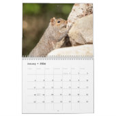 Eekhoorn 2026 kalender (Jan 2026)