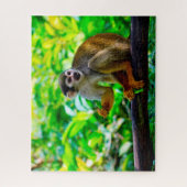 Eekhoorn aap. legpuzzel (Verticaal)