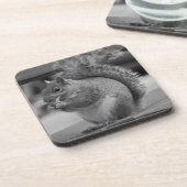 eekhoorn bier onderzetter (Linkerzijde)