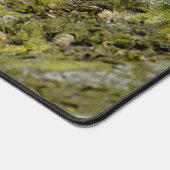 Eekhoorn blazen een Bubblegum Bubble Animal Foto Bureaumat (Hoek)