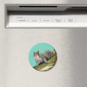 Eekhoorn blazen een Bubblegum Bubble Animal Foto Magneet (Insitu (Vaatwasser))