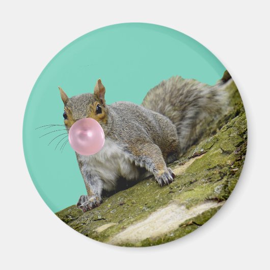 Eekhoorn blazen een Bubblegum Bubble Animal Foto Magneet (Voorkant)