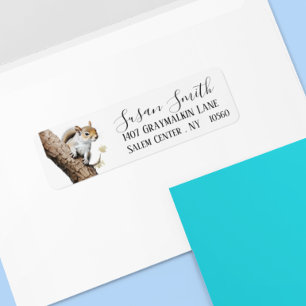 Eekhoorn Bosgebied Schrift Adres Etiket
