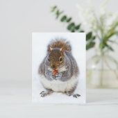eekhoorn briefkaart (Staand voorkant)