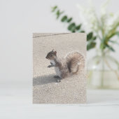 eekhoorn briefkaart (Staand voorkant)