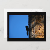 eekhoorn briefkaart (Voorkant / Achterkant)