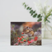 eekhoorn briefkaart (Staand voorkant)