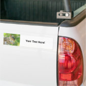 Eekhoorn bumpersticker (Op Truck)