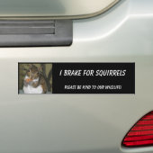 Eekhoorn Bumpersticker met "Summer" (Op auto)