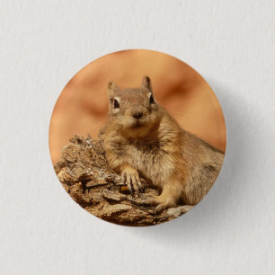Eekhoorn - Button