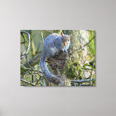 eekhoorn canvas afdruk (Voorkant)