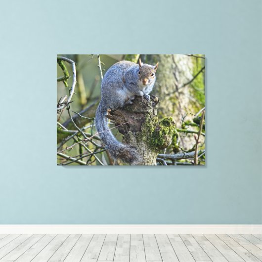 eekhoorn canvas afdruk (Insitu (Houten vloer))