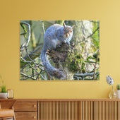 eekhoorn canvas afdruk (Insitu (Woonkamer))