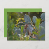 Eekhoorn dank je kaart (Voorkant / Achterkant)