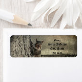 Eekhoorn deed het. etiket (Insitu)