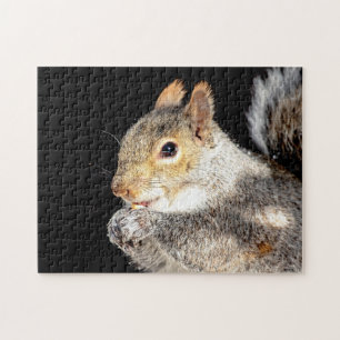Eekhoorn die een noot eet legpuzzel