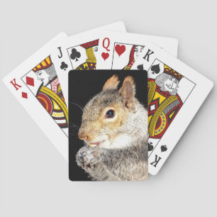 Eekhoorn die een noot eet pokerkaarten