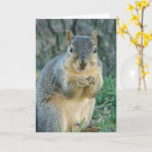 Eekhoorn die Eikels eten Kaart (Gele Bloem)