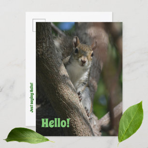 Eekhoorn die jou schattig van dichtbij fotografeer briefkaart